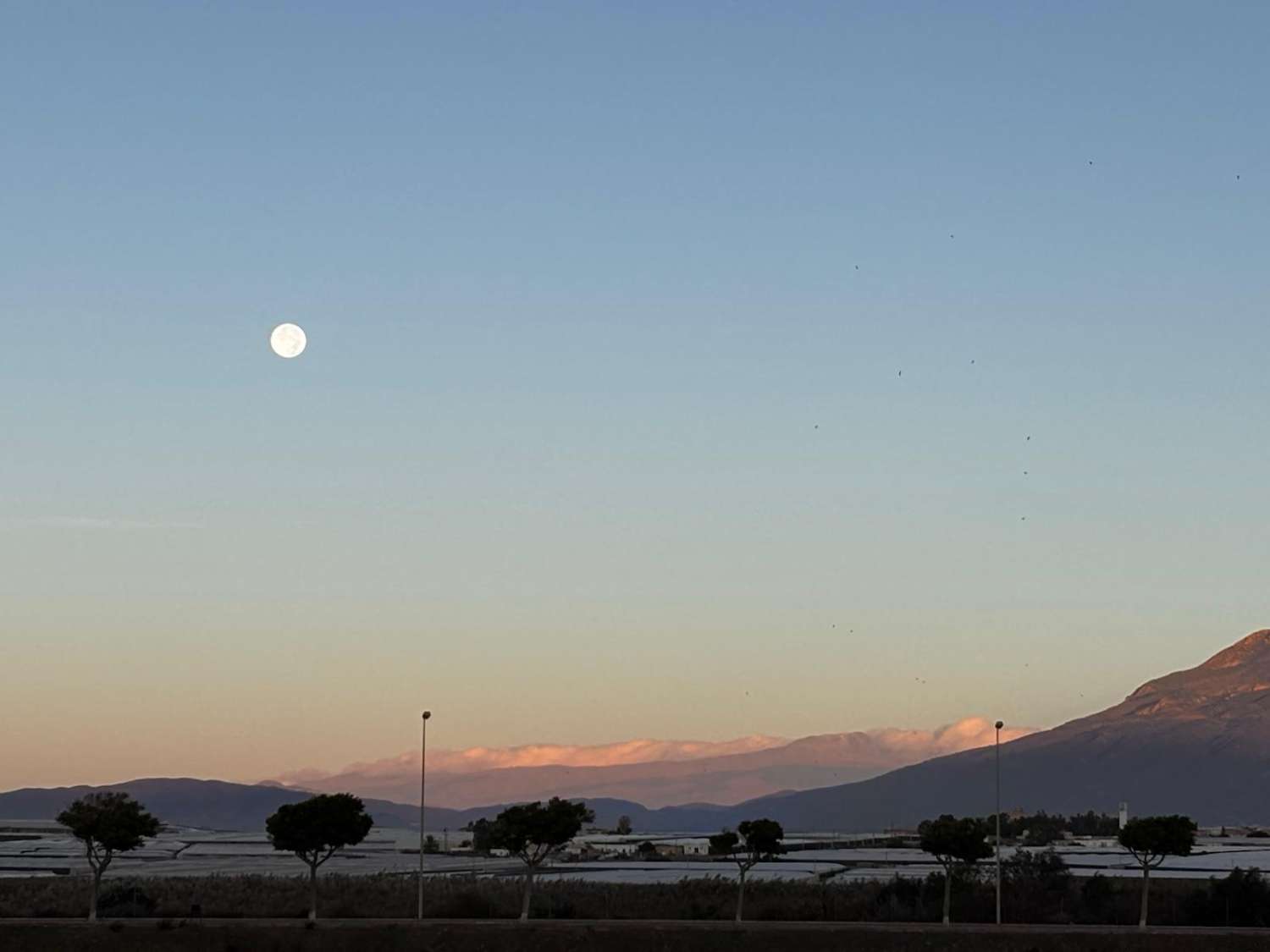 Kattohuoneisto myynnissä El Sabinar - Urbanizaciones - Las Marinas (Roquetas de Mar)